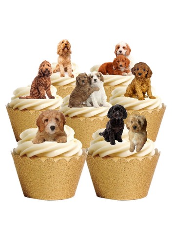 Cake toppers cavapoo cockapoo - toppers,