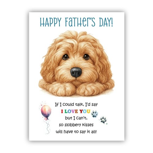 Cockapoo cockerpoo - –,