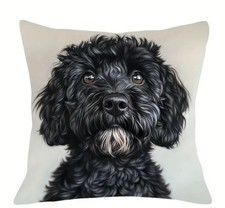 Super Soft black Cockapoo  Dog