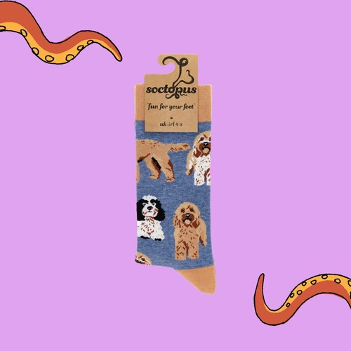 Soctopus cockapoo dog - cockapoo, socks