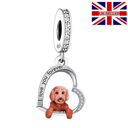 925 silver cockapoo heart - 925,
