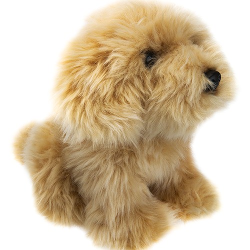 Labradoodle dog soft - labradoodle,
