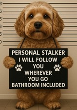 Funny Cockapoo dog metal wall