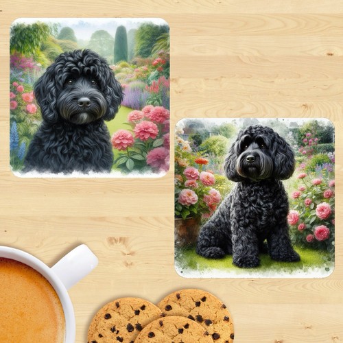 Black cockapoo coasters - cockapoo,