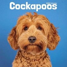 Cockapoo Calendar 2026 - Dogs