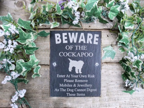 Humorous beware the - of,