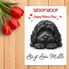 Cockapoo – Cockerpo