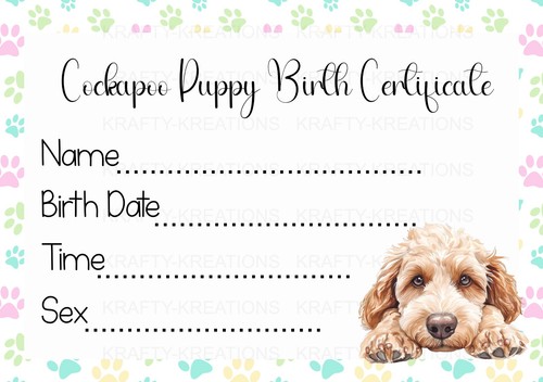 Cockapoo puppy birth - cockapoo,
