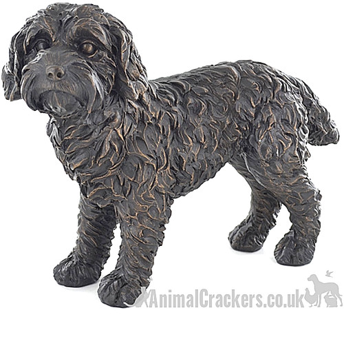 Large cockapoo bronze - large,