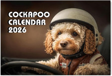 Cockapoo Calendar 2026 12