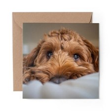 1 x Blank Greeting Card Brown