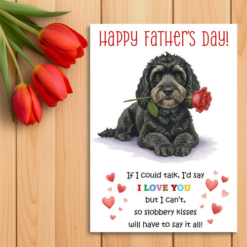 Cockapoo cockerpoo - –,